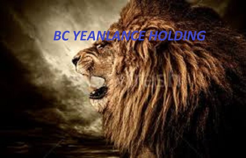 BC Yeanlance Holding Angajeaza urgent personal.